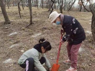 麻栎“反哺”山林！青岛启动2021“互联网+全民义务植树嘉年华”活动