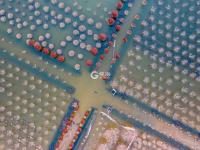 名副其实人间仙境，猜猜这是青岛啥地方