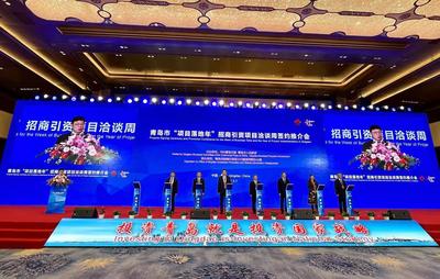 市长用“五个聚力”邀约全球客商，青岛“实力圈粉”世界500强！