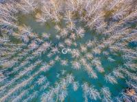 名副其实人间仙境，猜猜这是青岛啥地方