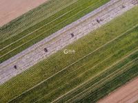 春风拂面万物苏丨观海美图周赏⑦