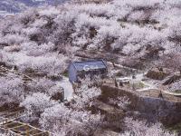 花海、庭院……青岛这里有处“世外桃源”