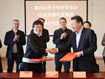打造智能化、优质化、规范化、产业化种猪供应链！玖瑞全球研发中心落户青岛