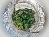 春风拂面万物苏丨观海美图周赏⑦