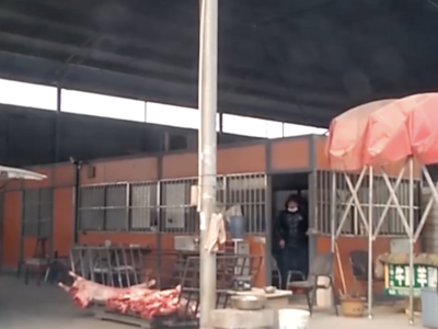 央视315晚会 | 河北养羊大县又见瘦肉精，瘦肉精羊流向多地如何逃过监管？