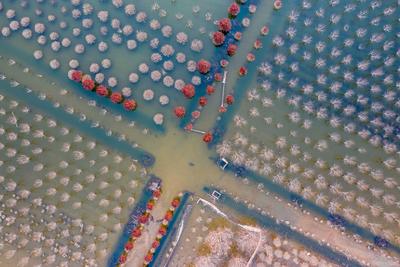 名副其实人间仙境，猜猜这是青岛啥地方