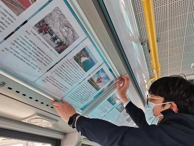 正值赏花踏青出游季，青岛这两条公交线将开出“赏春专车”