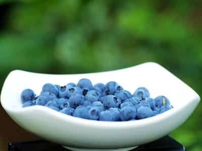 春天的第一盘蓝莓！青岛这里有个蓝莓小镇