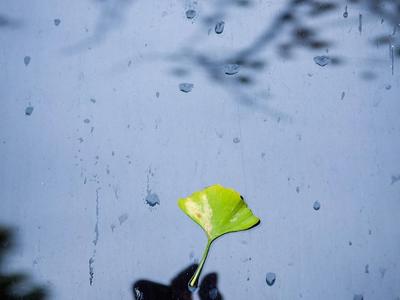 @青岛人，今晚雨水来报到！周末降水结束升温继续，踏青游玩约起来吧