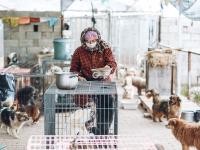 听！是花开的声音！丨观海美图周赏⑧