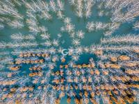 名副其实人间仙境，猜猜这是青岛啥地方