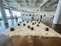 14国女艺术家名作来青展览，约起