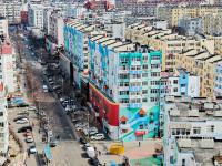 五彩涂鸦画上墙，青岛老楼春日换“新衣”