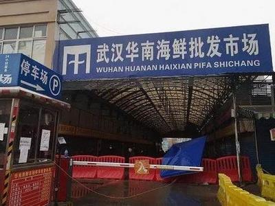 联合研究中方专家组：对华南海鲜市场的动物制品大规模检测未发现阳性