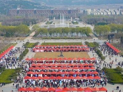 助力山东师范类高校毕业生就业，青大将承担其中一场“双选会”