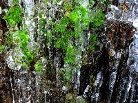 崂山冰瀑初融，记者拍到超治愈的绿色冰柱（高清）