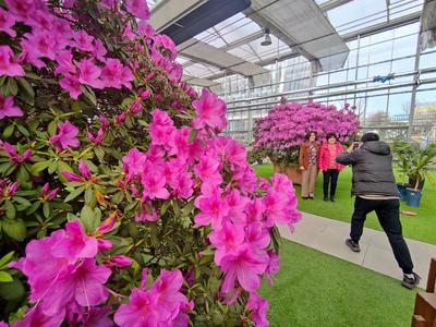 不惧倒春寒，青岛这里花开正浓春意盎然