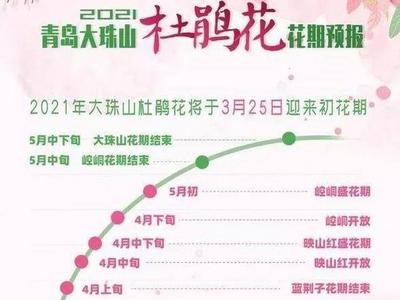 西海岸杜鹃花会今天开幕，公交接驳方案了解一下