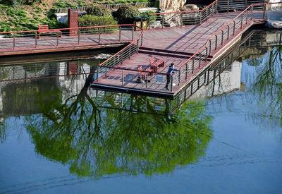 李村河四季画卷：来自大自然的真切告白