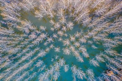 名副其实人间仙境，猜猜这是青岛啥地方