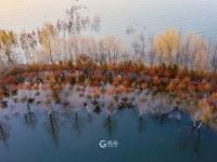 名副其实人间仙境，猜猜这是青岛啥地方