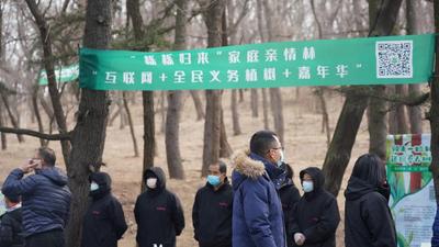 回放|麻栎树苗“回家”了！青岛200余市民共植“亲情林”