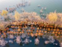 名副其实人间仙境，猜猜这是青岛啥地方