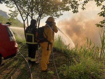 台湾阿里山发生森林大火，火势已延烧逾20小时