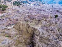 航拍杏林，你有没有被惊艳到？