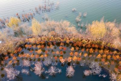 名副其实人间仙境，猜猜这是青岛啥地方