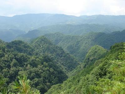 开展全域绿化行动！青岛今年启动5个郊野（山头）公园绿化提升