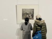 14国女艺术家名作来青展览，约起