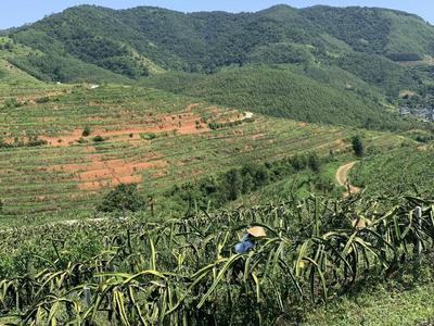 崂山助力甘肃陇南礼县、贵州安顺普定县，城阳助力陇南成县、安顺关岭县脱贫