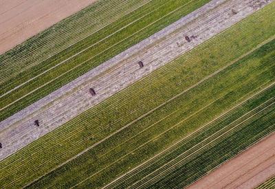 航拍西海岸耕地与麦田：美得不像话，像画！