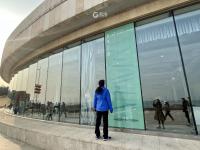 14国女艺术家名作来青展览，约起