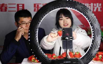 “草莓书记”开启直播带货 助力乡村振兴 