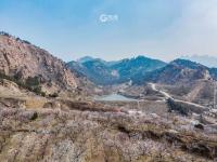 航拍杏林，你有没有被惊艳到？