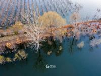 名副其实人间仙境，猜猜这是青岛啥地方