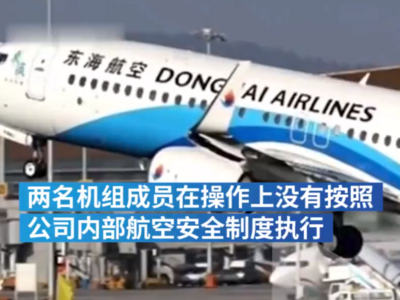 东海航空通报“机长与乘务长互殴”：当班机长和乘务员被终身停飞