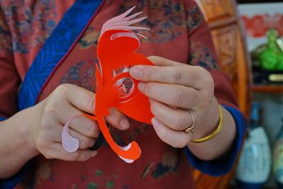 非遗传承人苏霞：剪纸40年，一双巧手“剪活”崂山