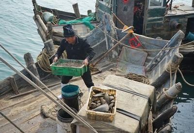 吃货慎入！春季“海鲜盛宴”即将向你奔来