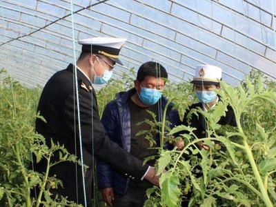 海关服务进农田？没错！引导出口企业提前做足这些准备！