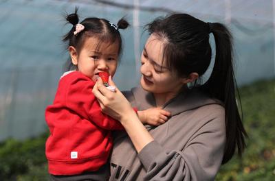 “草莓书记”开启直播带货 助力乡村振兴 