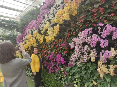 不惧倒春寒，青岛这里花开正浓春意盎然