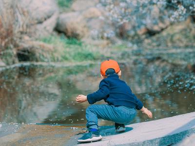 落花更美！实拍大崂樱桃谷“谢花结果期”