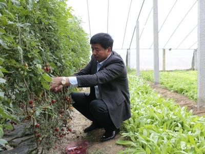 平度这一“领头雁”获评省级岗位学雷锋标兵