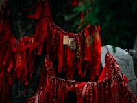 长宁路：闹市中辟幽静，这里有片古建筑群值得看 | 百年·百街⑤