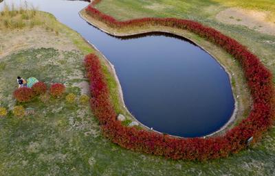 “红项链”惊艳！西海岸这个公园美如画卷