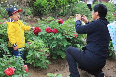 百名女摄影家闻香而来——聚焦青岛国际牡丹产业园线下采风