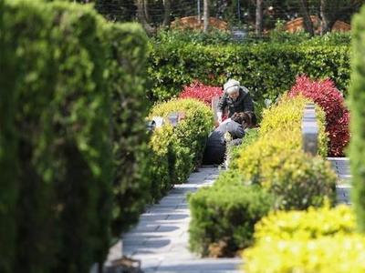 青岛市总工会倡议全市职工：文明祭扫、安全祭扫、节俭祭扫